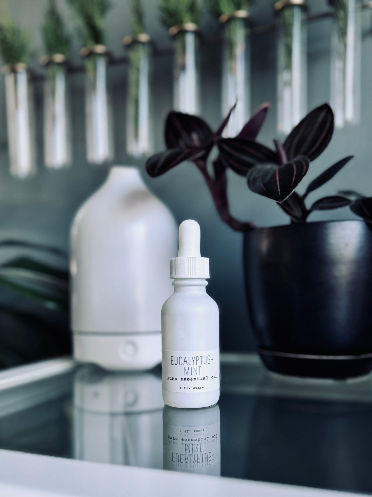 Pure Essential Oils - Seasonal