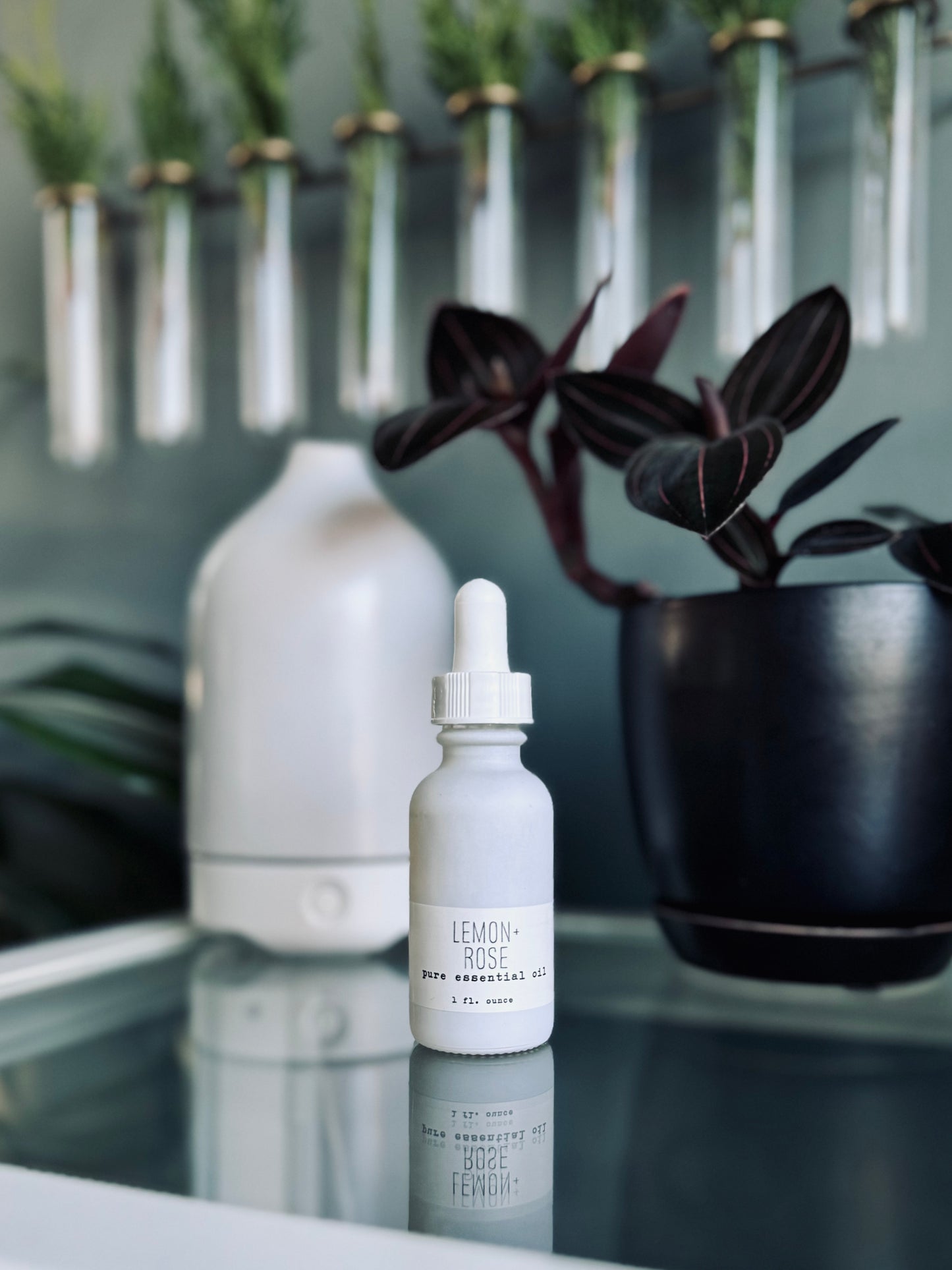 Pure Essential Oils - Seasonal